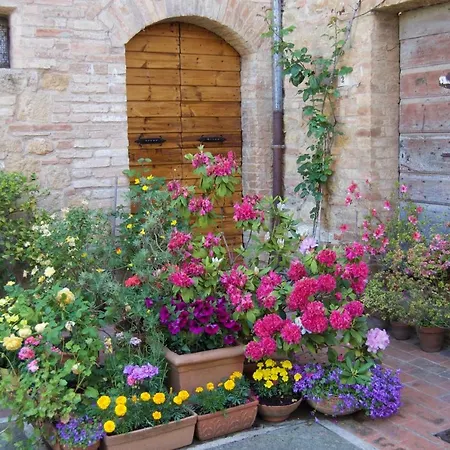 Small Lovely In Holiday home Pienza